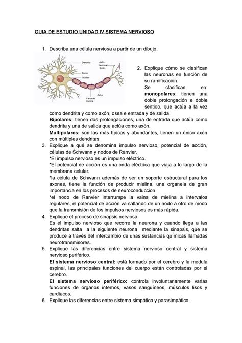 88GUIA DE Estudio Unidad IV Sistema Nervioso GUIA DE ESTUDIO