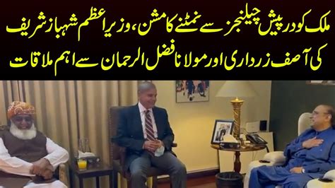 Asif Zardari Fazal Ur Rehman Meets Pm Shehbaz Sharif In Which