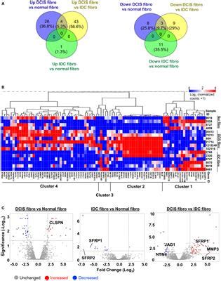 Frontiers Transcriptome Analysis Reveals Differences In Cell Cycle