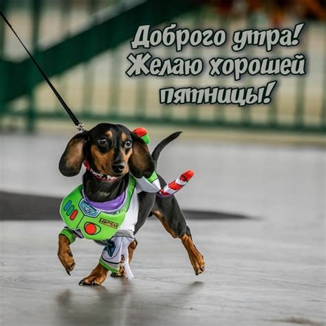 Картинки с Добрым утром Пятницы