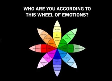 The Colors You Choose In The Famous Wheel Of Emotions Can Determine Who You Are Emotions