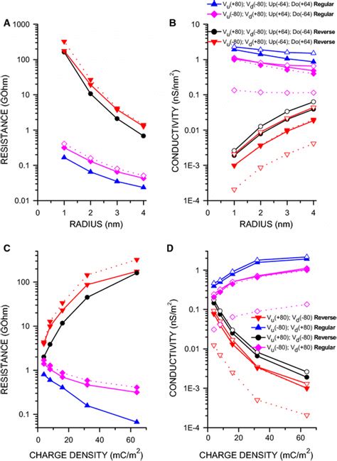 In Bipolar Nanopores The Voltage Bias Critically Influences The Radius