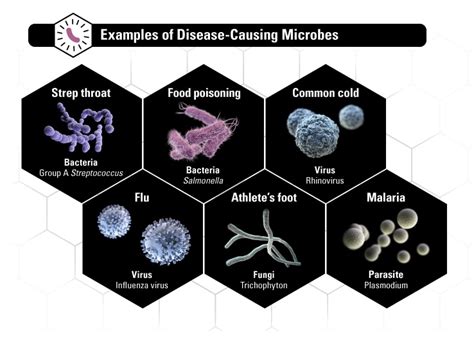 About Antimicrobial Resistance Antibiotic Antimicrobial Resistance CDC