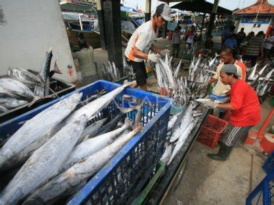 Target Sektor Perikanan Antara Foto