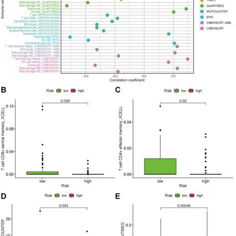 Estimate Tumor Infiltrating Cells Through Risk Assessment Model A