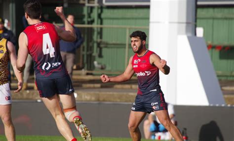 Round 15 Norwood V Central District Game Day Information Norwood