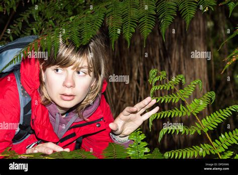 Fille perdu dans la foret sombre Banque de photographies et dimages à