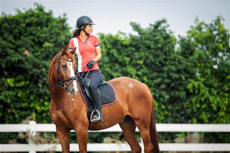 Revitalo The Photo Shoot Dressage Lady