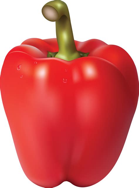 Bell pepper Chili pepper - Pepper PNG image png download - 2636*3560 ...