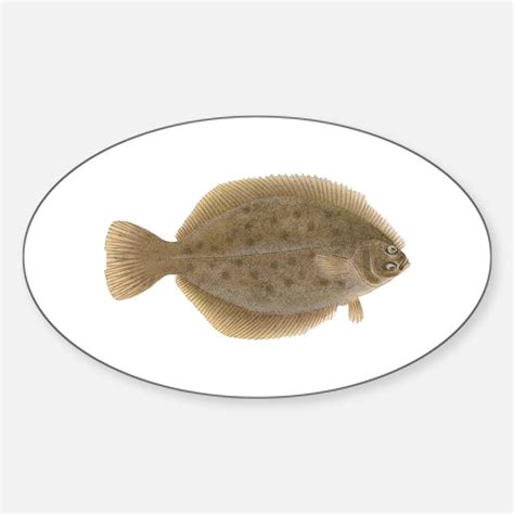 Flounder Bumper Stickers | Car Stickers, Decals, & More