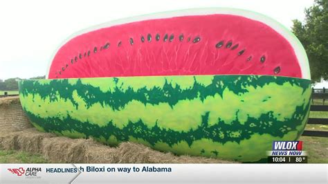 Biggest Watermelon