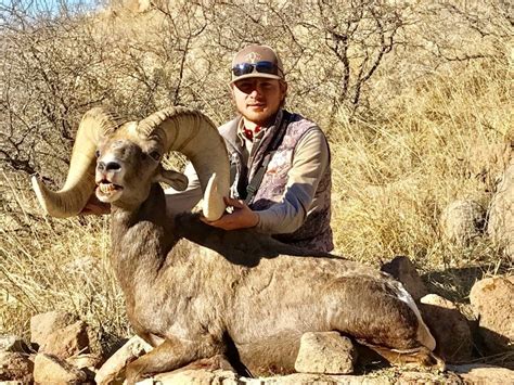 Hunt Texas Desert Bighorn — High West Outfitter