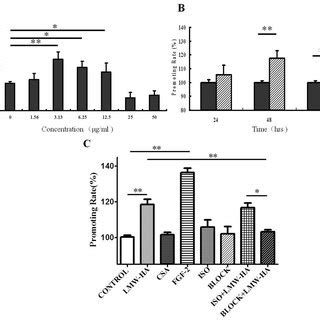 Svec A Sv Immortalized Endothelial Cell Line Derived From Mouse