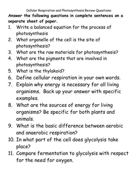 Cellular Respiration Questions