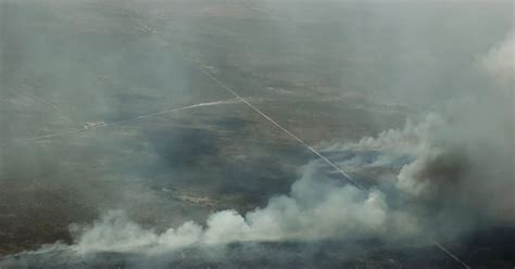 Declaran La Emergencia Agropecuaria En La Pampa Por Los Incendios De