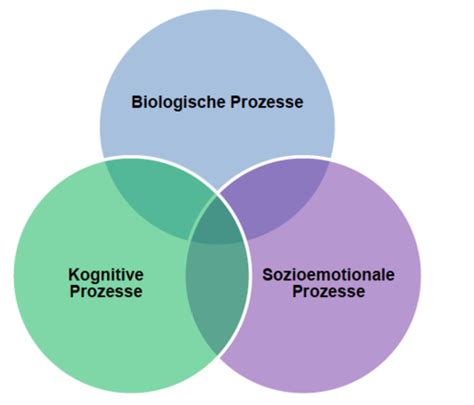 Entwicklungspsychologie Flashcards Quizlet