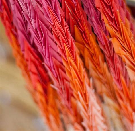1000+ images about Pink & Orange on Pinterest