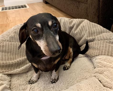 The secret culver's sun prairie history has finally been revealed today 15