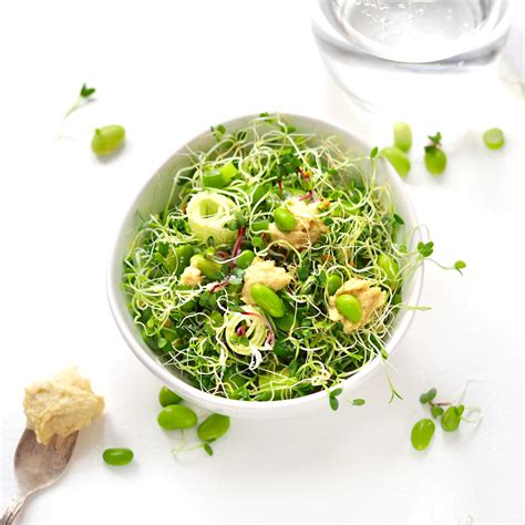 Sprout Salad With Clover Radish Sprouts Edame Beans And Fresh Hummus