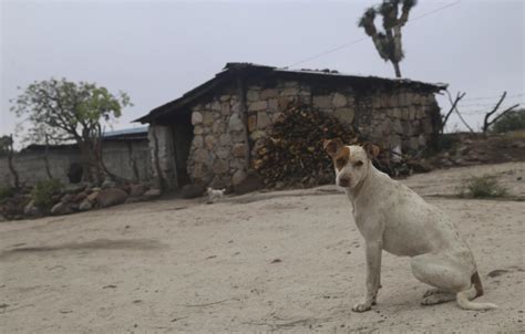 Aumenta La Pobreza En 22 Municipios De Jalisco Notisistema