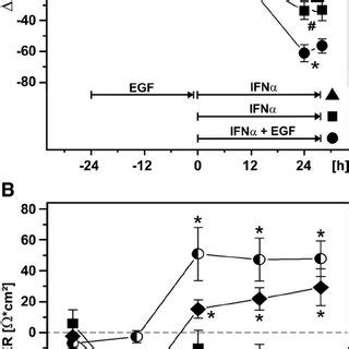 Epithelial Barrier Regulation By IFN And EGF A EGF Pretreatment