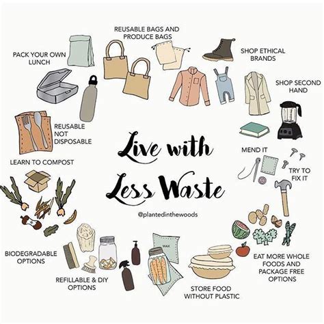 Living More Sustainably Waste Free Living Sustainable Living Zero Waste