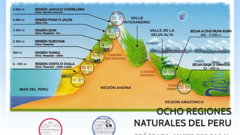 Las 8 Regiones Naturales Del Peru Peru Info Images