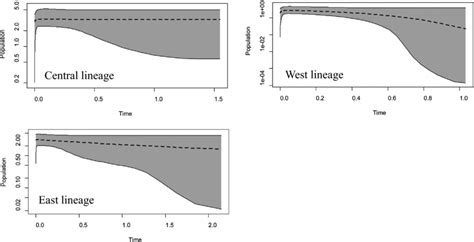 Demographic Reconstructions With The Extended Bayesian Skyline Plot