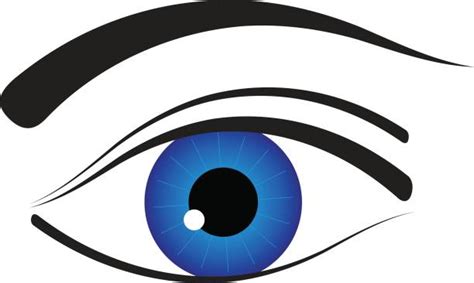 450 Single Eyelid Illustrations Royalty Free Vector Graphics And Clip