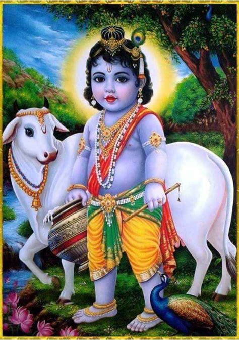 Top 20 Beautiful Lord Krishna Images Wordzz