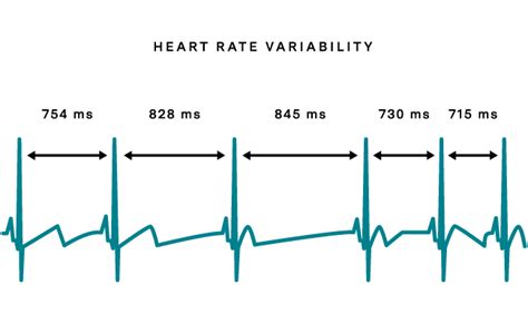 A Simple Introduction To Heart Rate Variability