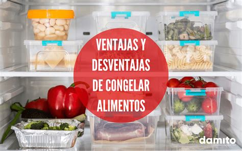 Estas Son Las Ventajas Y Desventajas De Congelar Alimentos