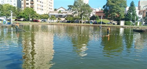 Retirada estratégica de peixes no lago do Parque Jonas Ramos Notiserra SC