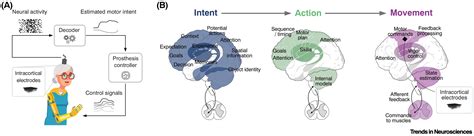 Going Beyond Primary Motor Cortex To Improve Braincomputer Interfaces