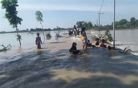 Banjir Luapan Bengawan Solo Di Tuban Sekolah Diliburkan Sawah Warga