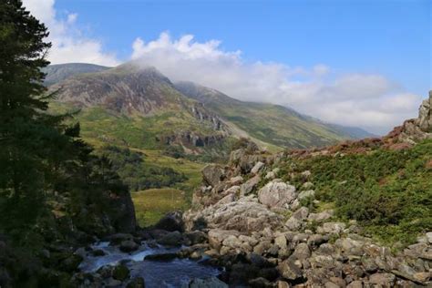 Snowdonia Woodland Stock Photos, Pictures & Royalty-Free Images - iStock