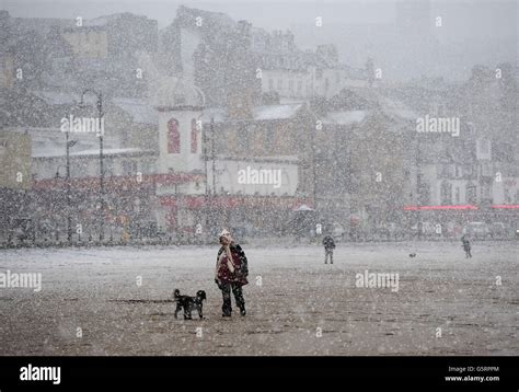 A Woman Walks Her Dog Through Heavy Snow On Scarborough Beach As Snow
