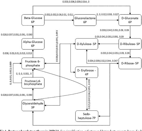 Figure 1 From A Genome Scale Metabolic Network Reconstruction Of Extremely Halophilic Bacterium