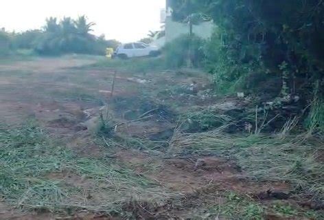 Moradores De Patamares Denunciam Crime Ambiental Cometido Por Faculdade