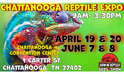 Shows Reptiles For Sale Shows And Expos