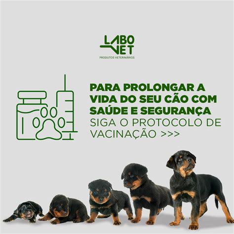 SAÚDE ÚNICA E A PROMOÇÃO DE UM MUNDO MAIS SAUDÁVEL Labovet Produtos