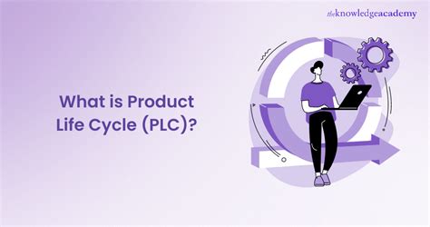 What Is Product Life Cycle And Its Stages