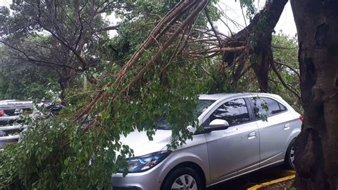 Chuva Derruba Rvores Em Uberl Ndia E Inmet Emite Alerta Para Tri Ngulo