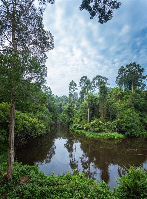 Park Narodowy Khao Yai Jest Najwi Kszym Lasem Deszczowym W Tajlandii