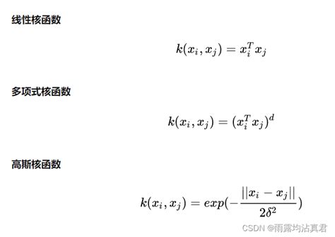 机器学习的十大经典算法——svmsvm的核函数中的xi和xj Csdn博客