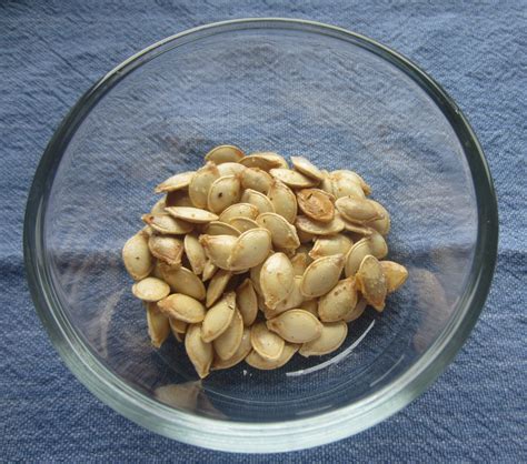 Roasted Squash Seeds - Plant Trainers