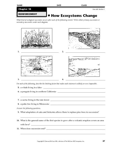 Primary And Secondary Succession Worksheet Free Worksheets Samples