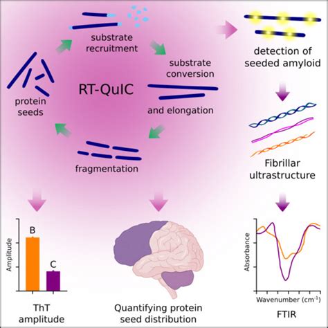 Biomolecules Free Full Text Defining The Protein Seeds Of