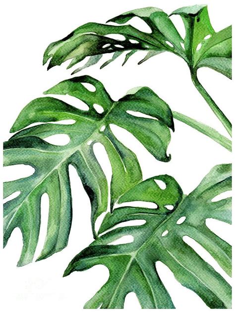 Displaying Photos Of Tropical Leaves Wall Art View 7 Of 15 Photos