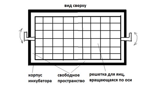 Самодельный инкубатор для яиц своими руками: схемы и описание